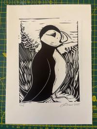 Black and white Puffin